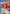 Kenshin Himura (011) (UE11BT/RNK-1-011) - UE11BT Rurouni Kenshin Foil