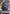 Kamatari Honjo (C*) (UE11BT/RNK-1-060) - UE11BT Rurouni Kenshin Foil