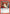 Kenshin Himura (087) (UE11BT/RNK-1-087) - UE11BT Rurouni Kenshin