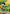 Gon Freecss (015) (R*) (UEX04BT/HTR-2-015) - UEX04BT HUNTER X HUNTER Vol2 Foil