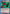 Clone (UEX04BT/HTR-2-047) - UEX04BT HUNTER X HUNTER Vol2