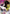 Hisoka (054) (R*) (UEX04BT/HTR-2-054) - UEX04BT HUNTER X HUNTER Vol2 Foil