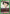 Wing (UEX04BT/HTR-2-062) - UEX04BT HUNTER X HUNTER Vol2
