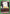 Kastro (UEX04BT/HTR-2-063) - UEX04BT HUNTER X HUNTER Vol2