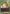 Kurapika (064) (UEX04BT/HTR-2-064) - UEX04BT HUNTER X HUNTER Vol2