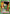Gon Freecss (066) (UEX04BT/HTR-2-066) - UEX04BT HUNTER X HUNTER Vol2 Foil
