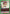 Zushi (UEX04BT/HTR-2-068) - UEX04BT HUNTER X HUNTER Vol2