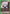 Killua Zoldyck (072) (UEX04BT/HTR-2-072) - UEX04BT HUNTER X HUNTER Vol2