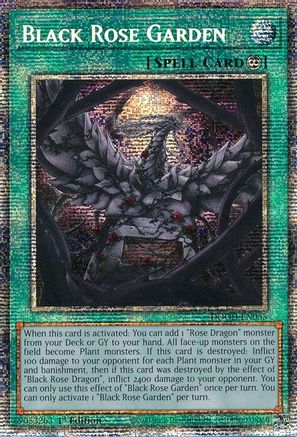 Black Rose Garden (Starlight Rare) [DOOD-EN055] Starlight Rare - Yu-Gi-Oh! - Card Brawlers | Quebec | Canada |