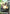 Zaku II (Championship Participation Pack 01) (ST03-008) - Gundam Promotional Cards Holofoil