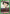 Wing (UEPR/HTR-2-062) - UEX04BT HUNTER X HUNTER Vol2 Release Event Cards