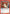 Kenshin Himura (087) (UE11BT/RNK-1-087) - UE11BT Rurouni Kenshin Release Event Cards