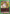 Kurapika (064) (Box Topper Foil) (UEX04BT/HTR-2-064) - UEX04BT HUNTER X HUNTER Vol2 Foil