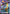Gundam Airmaster (GD02-059) - Dual Impact