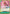 Because the Side of Justice Will Be Whichever Side Wins!! (Tournament Pack 2025 Vol. 4) (OP05-037) - One Piece Promotion Cards