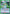 Yukina (UE13BT/YYH-1-060) - UE13BT Yu Yu Hakusho Ghost Files
