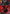 Aggression (126) (126) [Sector and Regional Promos: Season 1] - Fantasy Flight Games - Card Brawlers | Quebec | Canada |