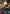 General's Blade (156) (156) [Sector and Regional Promos: Season 1] - Fantasy Flight Games - Card Brawlers | Quebec | Canada |