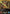 General's Blade (166) (166) [Sector and Regional Promos: Season 1] - Fantasy Flight Games - Card Brawlers | Quebec | Canada |