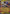 Mega Latias ex (011) [Mega Evolution Promo] - Pokémon - Card Brawlers | Quebec | Canada |
