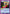 Beautiful Suzuki (001) (UE13BT/YYH-1-001) - UE13BT Yu Yu Hakusho Ghost Files