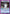 Shishiwakamaru (UE13BT/YYH-1-012) - UE13BT Yu Yu Hakusho Ghost Files Foil