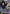 Elder Toguro (SR*) (UE13BT/YYH-1-022) - UE13BT Yu Yu Hakusho Ghost Files Foil