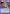 Younger Toguro (023) (UE13BT/YYH-1-023) - UE13BT Yu Yu Hakusho Ghost Files