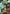 Younger Toguro (024) (U*) (UE13BT/YYH-1-024) - UE13BT Yu Yu Hakusho Ghost Files Foil