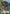 Younger Toguro (025) (SR**) (UE13BT/YYH-1-025) - UE13BT Yu Yu Hakusho Ghost Files Foil