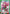 Genkai (047) (UE13BT/YYH-1-047) - UE13BT Yu Yu Hakusho Ghost Files Foil