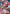 Genkai (047) (SR*) (UE13BT/YYH-1-047) - UE13BT Yu Yu Hakusho Ghost Files Foil