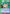Yukina (059) (UE13BT/YYH-1-059) - UE13BT Yu Yu Hakusho Ghost Files