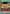 I Didn't Die For Nothing! (UE13BT/YYH-1-064) - UE13BT Yu Yu Hakusho Ghost Files