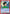 Yusuke Urameshi (069) (UE13BT/YYH-1-069) - UE13BT Yu Yu Hakusho Ghost Files