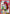 Kurama (073) (UE13BT/YYH-1-073) - UE13BT Yu Yu Hakusho Ghost Files Foil