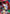 Kurama (073) (SR*) (UE13BT/YYH-1-073) - UE13BT Yu Yu Hakusho Ghost Files Foil