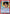 Shiori Minamino (UE13BT/YYH-1-086) - UE13BT Yu Yu Hakusho Ghost Files