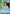 Shizuru Kuwabara (UE13BT/YYH-1-106) - UE13BT Yu Yu Hakusho Ghost Files