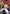Jin (110) (R*) (UE13BT/YYH-1-110) - UE13BT Yu Yu Hakusho Ghost Files Foil