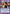 Younger Toguro (111) (UE13BT/YYH-1-111) - UE13BT Yu Yu Hakusho Ghost Files Foil