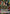 Younger Toguro (111) (R*) (UE13BT/YYH-1-111) - UE13BT Yu Yu Hakusho Ghost Files Foil