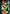 Action Point Card (AP01) (UE13BT/YYH-1-AP01) - UE13BT Yu Yu Hakusho Ghost Files Foil