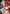 Action Point Card (AP03) (UE13BT/YYH-1-AP03) - UE13BT Yu Yu Hakusho Ghost Files