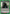 Now Leave the Rest to Me (UE12BT/KJ8-1-074) - UE12BT Kaiju No 8