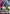 Gundam Ashtaron (GD02-040) - Dual Impact Holofoil