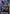 Amida's Hyakuren (GD02-062) - Dual Impact