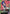Shuji Ito (Store Tournament Participant Pack 02) (ST06-010) - Gundam Promotional Cards Holofoil