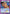 Younger Toguro (023) (Judge Pack) (UEPR/YYH-1-023) - Union Arena Promotion Cards Foil