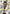 Aoshi Shinomori (014) (Winner) (UEPR/RNK-1-014) - Union Arena Promotion Cards Foil